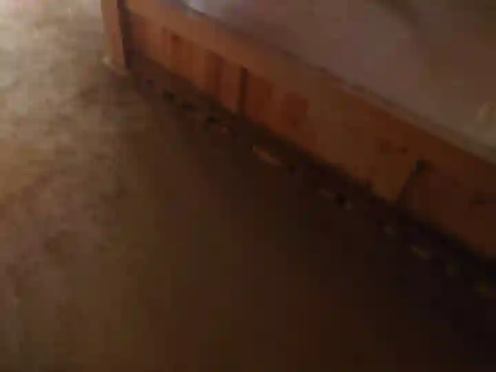 乃木神社の周辺