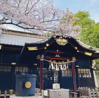 玉前神社の本殿・本堂