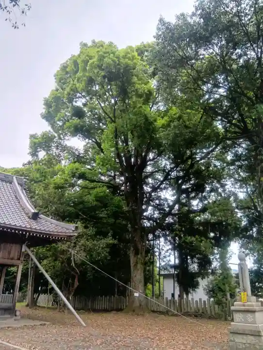 多賀神社の{uncategorized: "未分類", other: "その他", undefined: "問題あり", building: "その他建物", grave: "お墓", sacred_gate: "鳥居", guardian: "狛犬", statue: "像", buddha: "仏像", history: "歴史", nature: "自然", garden: "庭園", animal: "動物", pagoda: "塔", temizu: "手水舎", mountain_gate: "山門・神門", sanctuary: "本殿・本堂", subordinate: "末社・摂社", art: "芸術", scenery: "景色", jizo: "地蔵", ema: "絵馬", goshuin: "御朱印", omikuji: "おみくじ", items: "授与品その他", amulet: "お守り", goshuincho: "御朱印帳", eats: "食事", festival: "お祭り", votive_dance: "神楽", shichigosan: "七五三参", wedding: "結婚式", experience: "体験その他", initially: "初詣", around: "周辺", anti_infection: "感染症対策"}