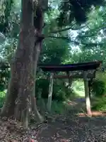 弁財天(千葉県)