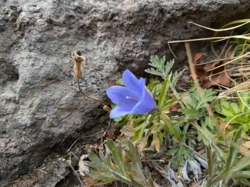 祠（大雪神社奥の院）(北海道)