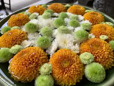 滑川神社 - 仕事と子どもの守り神の手水舎