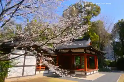 阿佐ヶ谷神明宮(東京都)