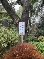 伊奴寝子社の自然