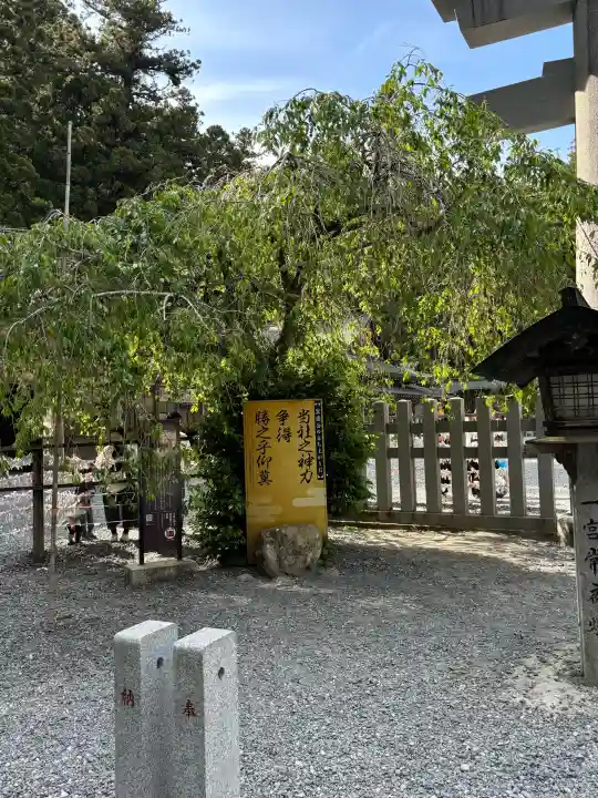 小國神社の{uncategorized: "未分類", other: "その他", undefined: "問題あり", building: "その他建物", grave: "お墓", sacred_gate: "鳥居", guardian: "狛犬", statue: "像", buddha: "仏像", history: "歴史", nature: "自然", garden: "庭園", animal: "動物", pagoda: "塔", temizu: "手水舎", mountain_gate: "山門・神門", sanctuary: "本殿・本堂", subordinate: "末社・摂社", art: "芸術", scenery: "景色", jizo: "地蔵", ema: "絵馬", goshuin: "御朱印", omikuji: "おみくじ", items: "授与品その他", amulet: "お守り", goshuincho: "御朱印帳", eats: "食事", festival: "お祭り", votive_dance: "神楽", shichigosan: "七五三参", wedding: "結婚式", experience: "体験その他", initially: "初詣", around: "周辺", anti_infection: "感染症対策"}