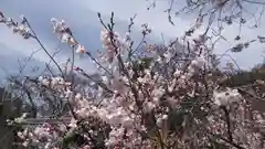 宗像神社の自然