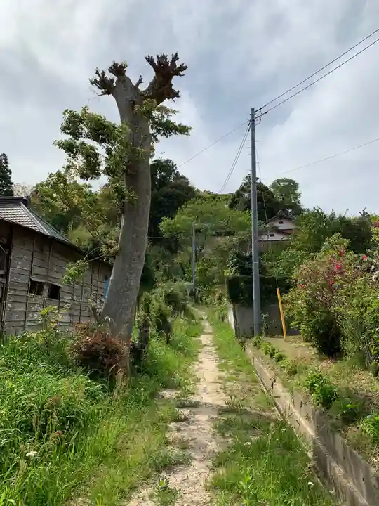 八坂神社の周辺