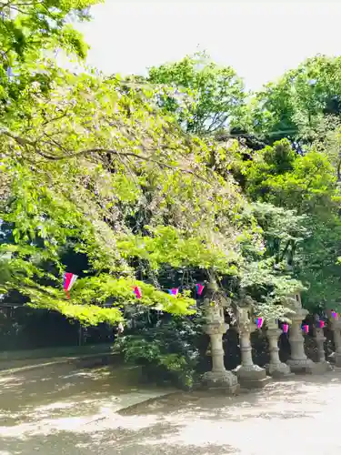 香取神宮の建物その他