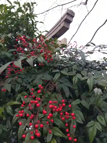 總社 和田八幡宮(福井県)