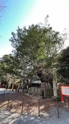 熊野速玉大社(和歌山県)