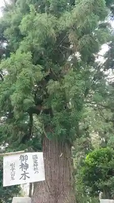 小川温泉神社のその他建物
