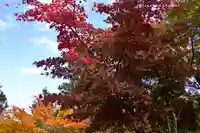 武蔵御嶽神社(東京都)