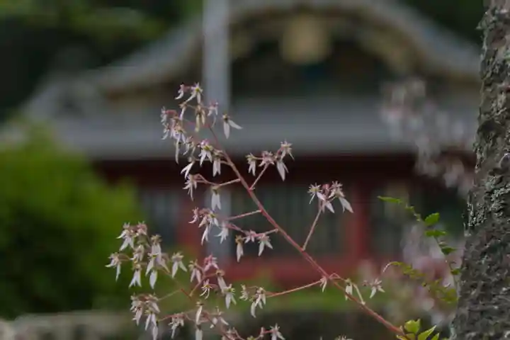 妙義神社(群馬県)