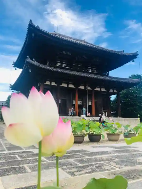 喜光寺(奈良県)
