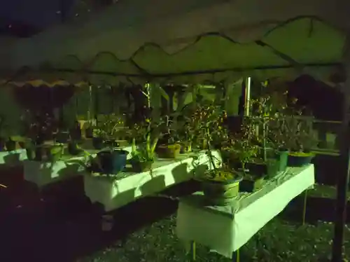 森野住吉神社(東京都)