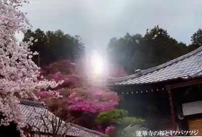 蓮華寺(滋賀県)