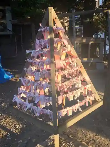 浅草神社のおみくじ