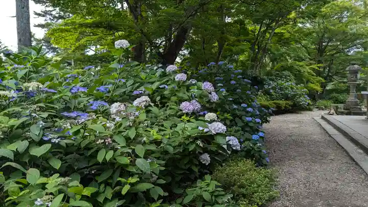 柳谷観音 楊谷寺(京都府)
