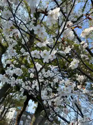 日吉神社の自然