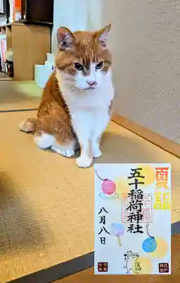月替り御朱印 8月『にゃん祭』と愛太郎君😺