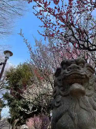 新井天神北野神社(東京都)