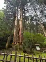 御岩神社の{uncategorized: "未分類", other: "その他", undefined: "問題あり", building: "その他建物", grave: "お墓", sacred_gate: "鳥居", guardian: "狛犬", statue: "像", buddha: "仏像", history: "歴史", nature: "自然", garden: "庭園", animal: "動物", pagoda: "塔", temizu: "手水舎", mountain_gate: "山門・神門", sanctuary: "本殿・本堂", subordinate: "末社・摂社", art: "芸術", scenery: "景色", jizo: "地蔵", ema: "絵馬", goshuin: "御朱印", omikuji: "おみくじ", items: "授与品その他", amulet: "お守り", goshuincho: "御朱印帳", eats: "食事", festival: "お祭り", votive_dance: "神楽", shichigosan: "七五三参", wedding: "結婚式", experience: "体験その他", initially: "初詣", around: "周辺", anti_infection: "感染症対策"}