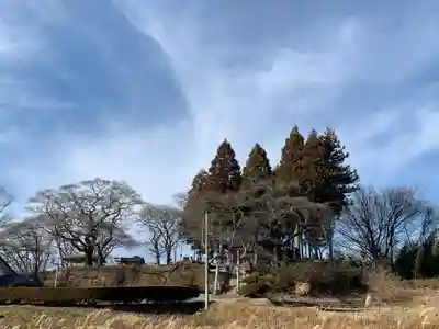 瀧桜神明宮(福島県)