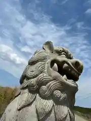 阿蘇神社の狛犬