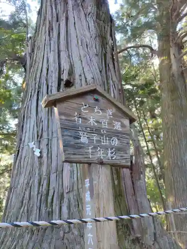 鷲子山上神社(栃木県)