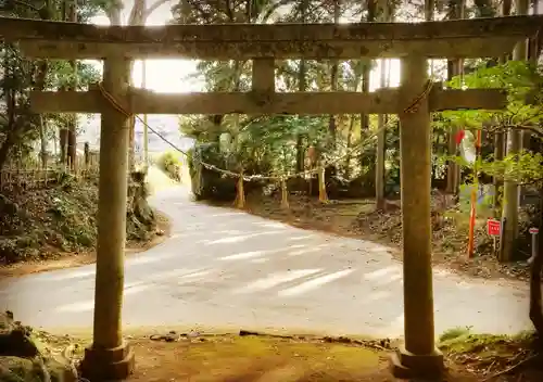 國土神社の鳥居