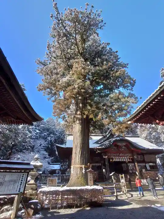 北口本宮冨士浅間神社(山梨県)