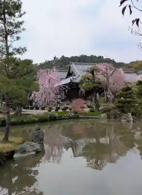 法金剛院(京都府)