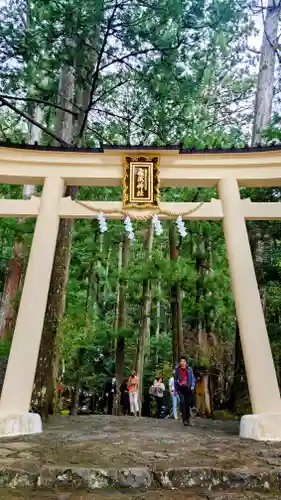 飛瀧神社（熊野那智大社別宮）(和歌山県)