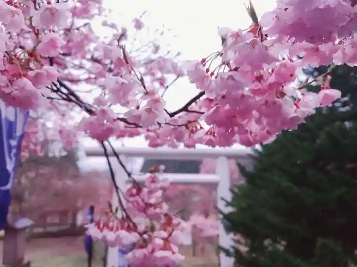 土津神社|こどもと出世の神さまの自然
