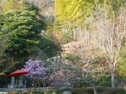 長谷寺の庭園