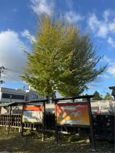 法霊山龗神社(青森県)