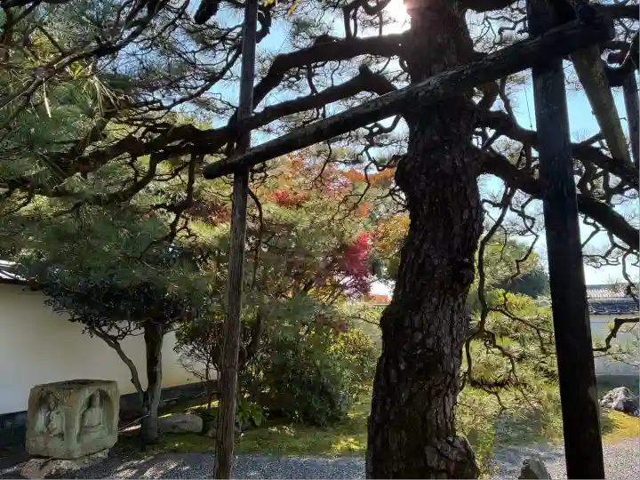 大心院(京都府)