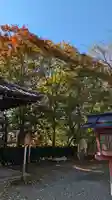 松ヶ崎大黒天 妙圓寺(妙円寺)(京都府)
