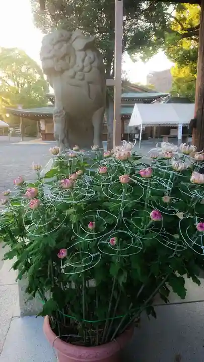尾張大國霊神社(国府宮)の狛犬