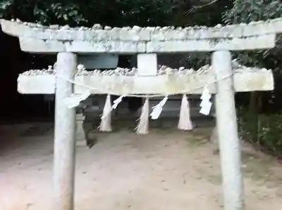 住吉神社の鳥居