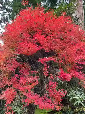 西光寺(宮城県)