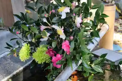 高司神社〜むすびの神の鎮まる社〜の手水舎