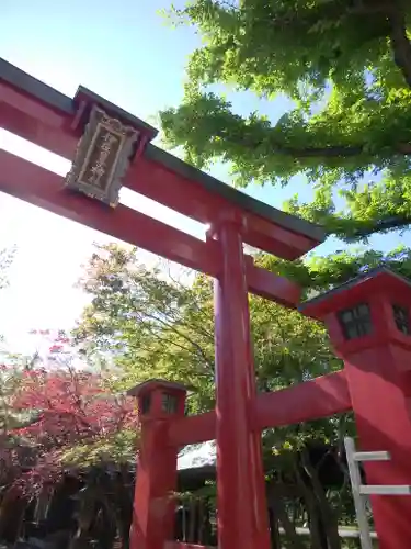 彌彦神社　(伊夜日子神社)の鳥居