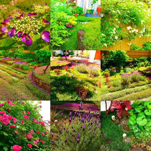寿量山　速成寺(奈良県)