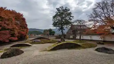 実相院門跡の庭園