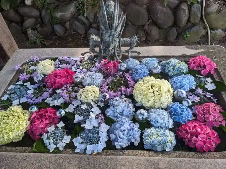 無量寿院宝禅寺の御朱印