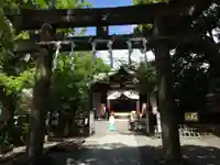稲毛神社の鳥居
