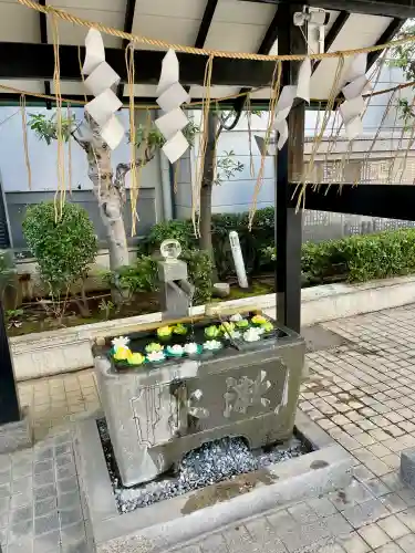 城岡神社の{uncategorized: "未分類", other: "その他", undefined: "問題あり", building: "その他建物", grave: "お墓", sacred_gate: "鳥居", guardian: "狛犬", statue: "像", buddha: "仏像", history: "歴史", nature: "自然", garden: "庭園", animal: "動物", pagoda: "塔", temizu: "手水舎", mountain_gate: "山門・神門", sanctuary: "本殿・本堂", subordinate: "末社・摂社", art: "芸術", scenery: "景色", jizo: "地蔵", ema: "絵馬", goshuin: "御朱印", omikuji: "おみくじ", items: "授与品その他", amulet: "お守り", goshuincho: "御朱印帳", eats: "食事", festival: "お祭り", votive_dance: "神楽", shichigosan: "七五三参", wedding: "結婚式", experience: "体験その他", initially: "初詣", around: "周辺", anti_infection: "感染症対策"}