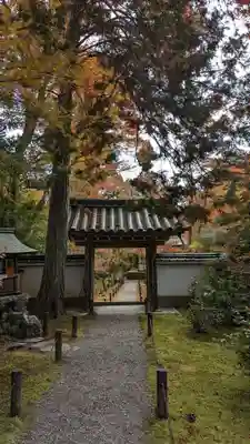 地蔵院(京都府)
