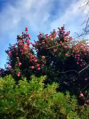 正覚院(東京都)